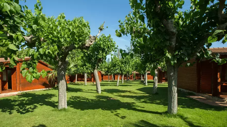 Location bungalow Tarragone