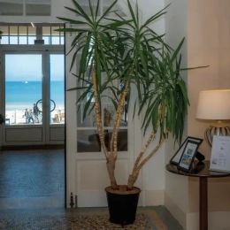 Accueil de l'hôtel VTF Saint Cast le Guildo