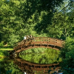 Parc en Auvergne VTF
